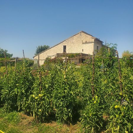 فندق Au Mas De Janita Cahuzac-sur-Vère المظهر الخارجي الصورة